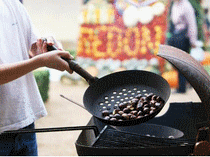 FOIRE TEILLOUSE - GRANDE FOIRE AUX MARRONS