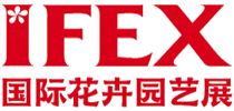 IFEX CHINA