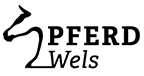 PFERD WELS