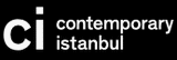 Contemporary Istanbul