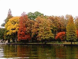 Cedar Creek Lake